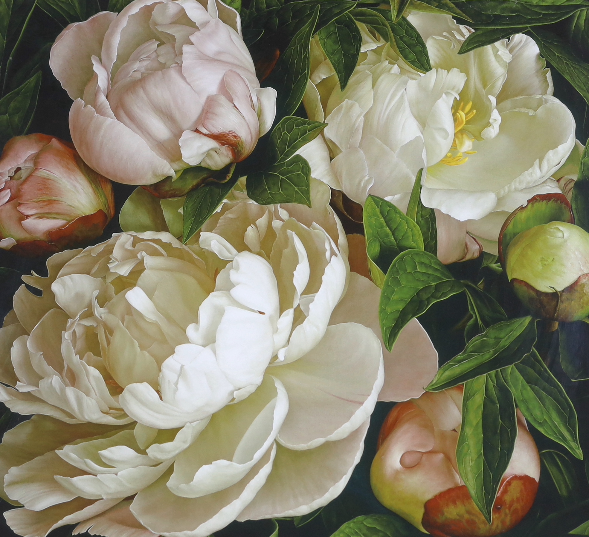 Mia Tarney (b.1973), limited edition glicee print, 'Peony Gardenia', signed in pencil, limited edition 26/150, COA verso, 67 x 63cm